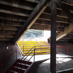 De Bosuil FC Antwerp - Stadionkoorts Peter Dekker