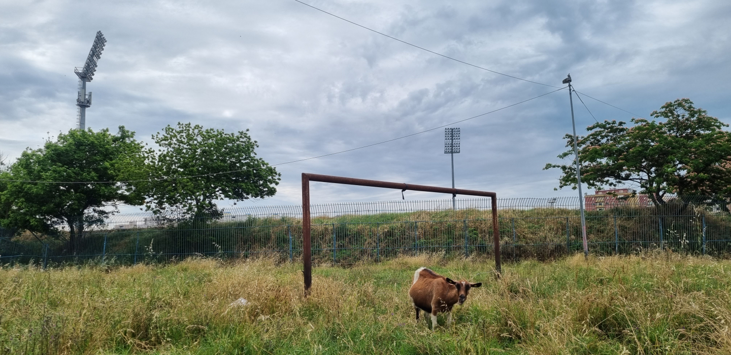 Het Niko Dovanastadion van KS Teuta Durrës (Albanië) - Stadionkoorts Groundhopping